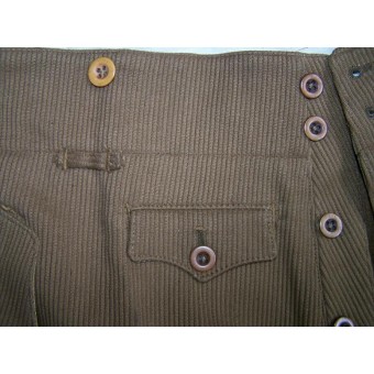 Pantalones tercero Reich del NSDAP, la menta.. Espenlaub militaria