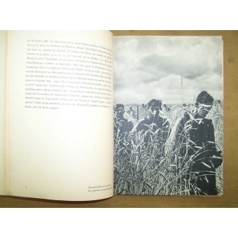 Libro unico / fotoalbum. Espenlaub militaria