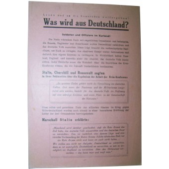 Советская листовка, апрель 1945 г.  Was wird aus Deutschland?  Курляндский котел.. Espenlaub militaria