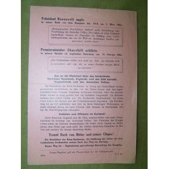 Soviet Leaflet for German troops. Was wird aus Deutschland?. Espenlaub militaria