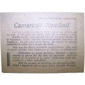 Sovjetiskt flygblad för rumänska soldater. Camarazi Romani. Kurland Pocket!