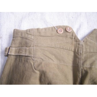 SA de NSDAP Diensthose / pantalones.. Espenlaub militaria