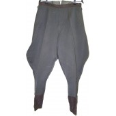 Pantaloni da ufficiale della Wehrmacht Steingrau/grigio pietra di ottima qualità