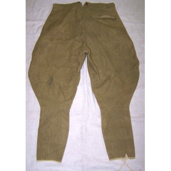 3 Reich. Pantaloni della SA- Wehrmannschaft. Espenlaub militaria