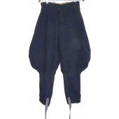 Pantalones de comandante de infantería de lana comprados por particulares sin marcar