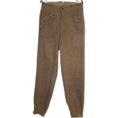 RAD Gebirgsjager type trousers for mountain RAD troops
