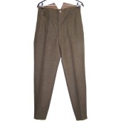 RAD, very good condition M 36 trousers