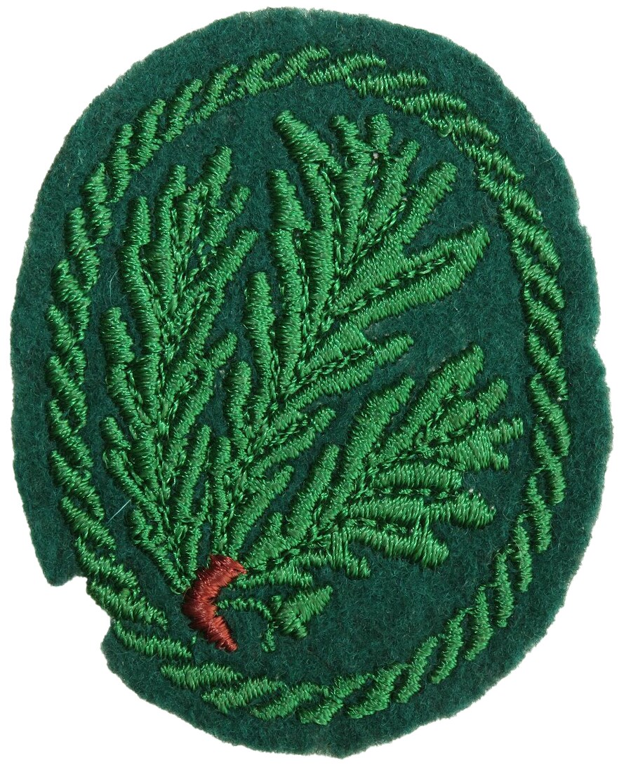 U24 toppa Impero Tedesco Impero Bandiera applicazione Patch 9 x 6 cm